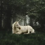 unicorndelight88